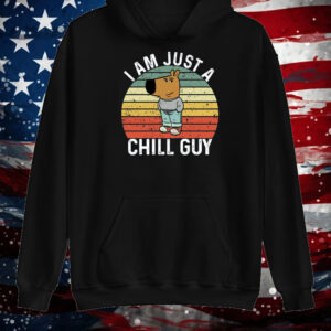 I Am Just A Chill Guy Funny Meme Shirt ,Sweatshirt ,Hoodie