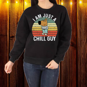 I Am Just A Chill Guy Funny Meme Shirt ,Sweatshirt ,Hoodie1