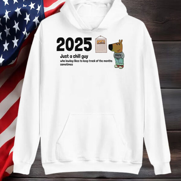 2025 Just A Chill Guy Who Lowkey Likes To Keep Track Of The Months Sometimes T-Shirt1