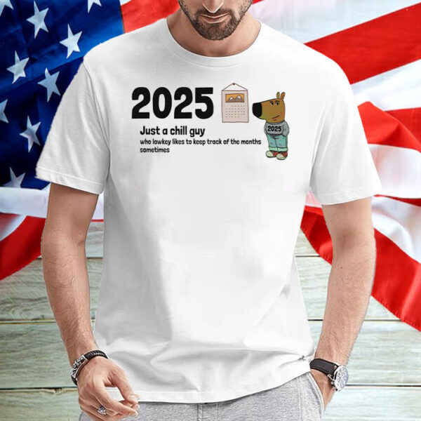 2025 Just A Chill Guy Who Lowkey Likes To Keep Track Of The Months Sometimes T-Shirt2