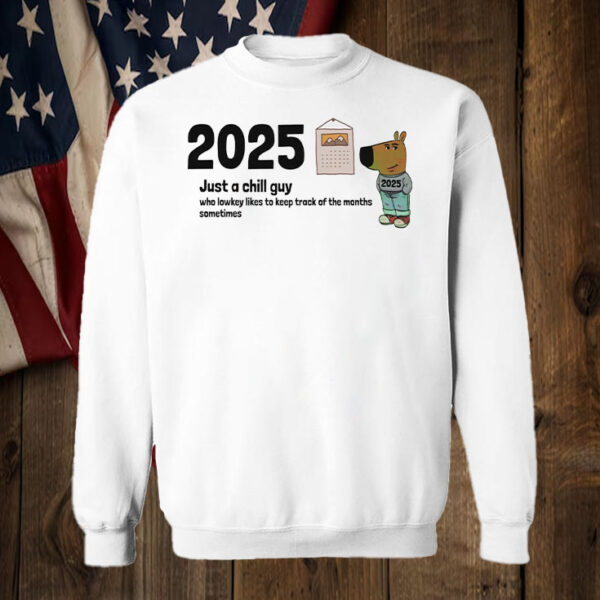 2025 Just A Chill Guy Who Lowkey Likes To Keep Track Of The Months Sometimes T-Shirt6