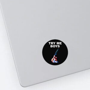 Carl Niehaus Try Me Boys Sticker