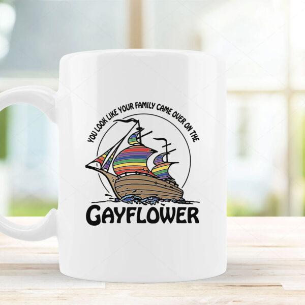 You Look Like Your Family Came Over On The Gayflower Mug