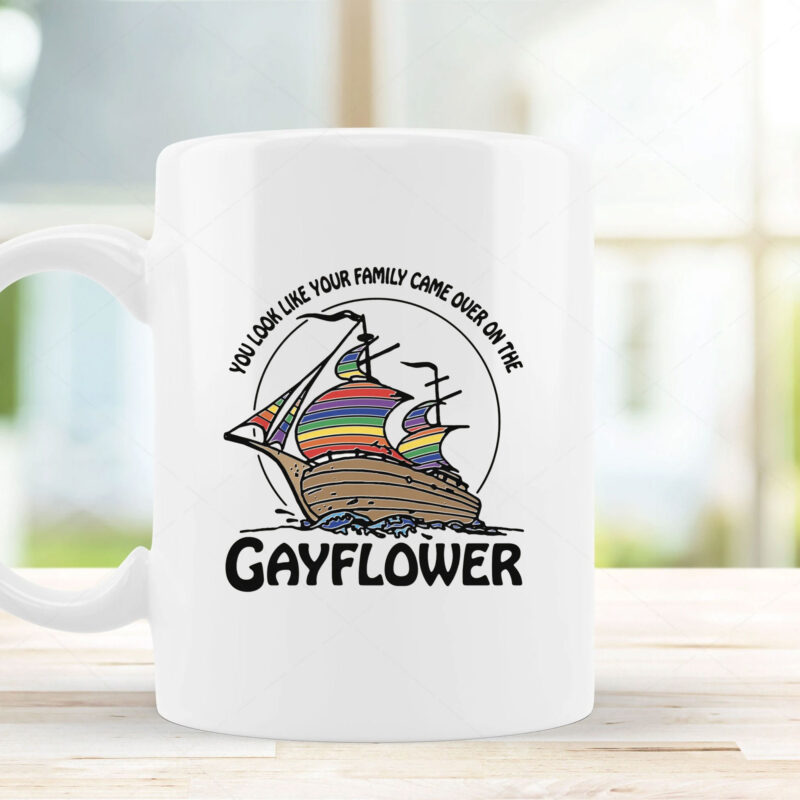  You Look Like Your Family Came Over On The Gayflower Mug