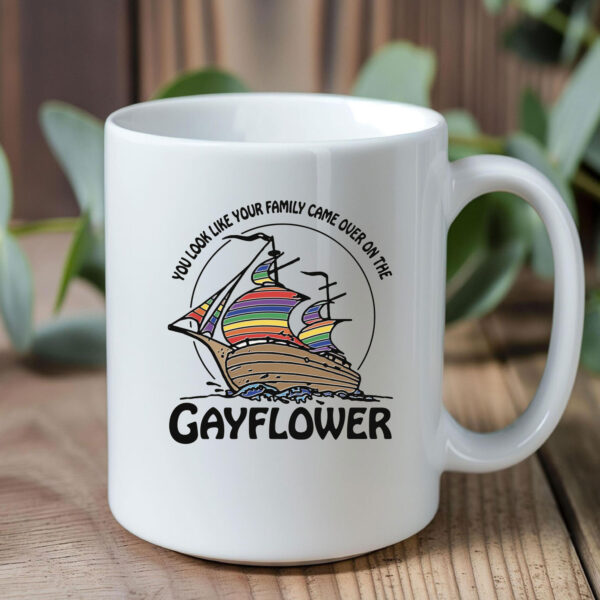 You Look Like Your Family Came Over On The Gayflower Mug