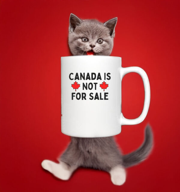 Canada Is Not For Sale 2025 Mug