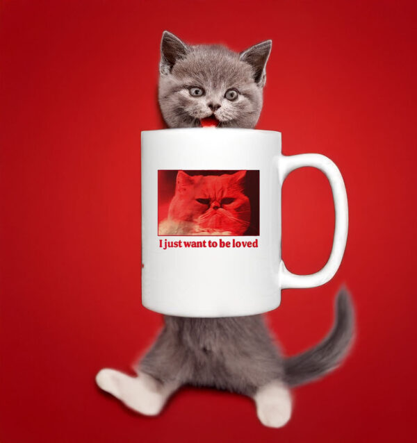 I just want to be loved cat Mug