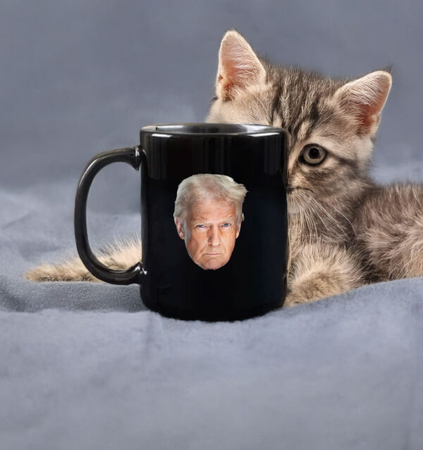 Portraits of US President-Elect Donald Trump Mug