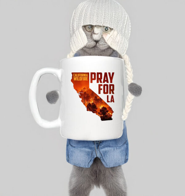 Pray For LA California Wildfire Mug