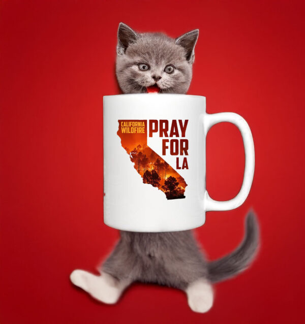 Pray For LA California Wildfire Mug