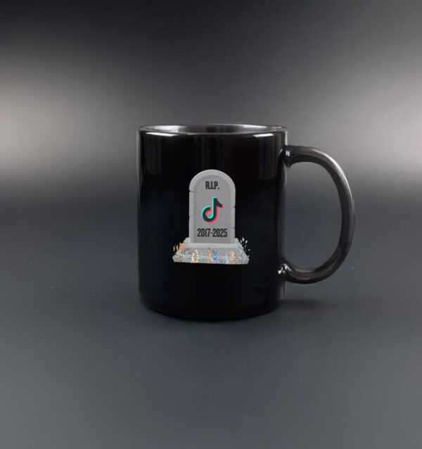 RIP TikTok 2017-2025 Mug