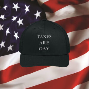 Taxes Are Gay Hat