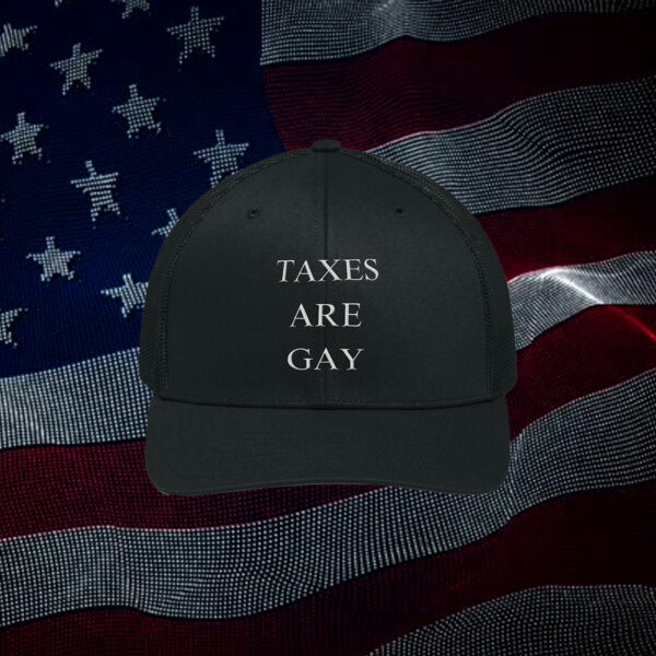 Taxes Are Gay Hat