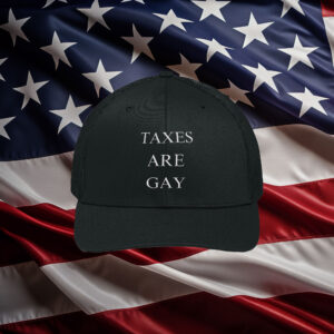 Taxes Are Gay Hat