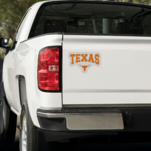 Texas Shirt Women Men Kids State Of Texas Orange Text Sticker