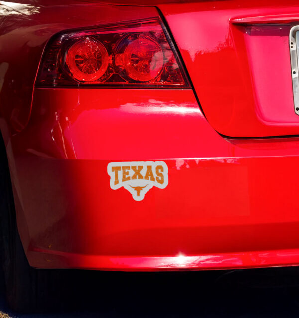 Texas Shirt Women Men Kids State Of Texas Orange Text Sticker