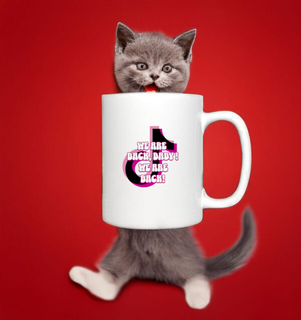 Tiktok We Are Back Baby We Are Back Valentine Day 2025 Mug